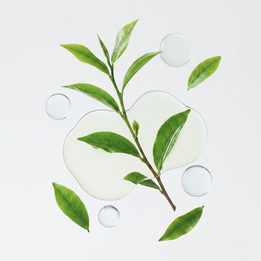 Les Bienfaits Du Thé Vert Pour La Peau