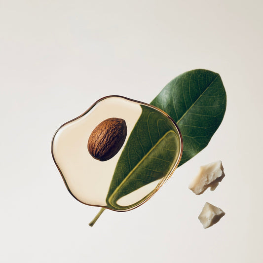 Le Beurre De Karité : Un Incontournable Pour Nourrir La Peau