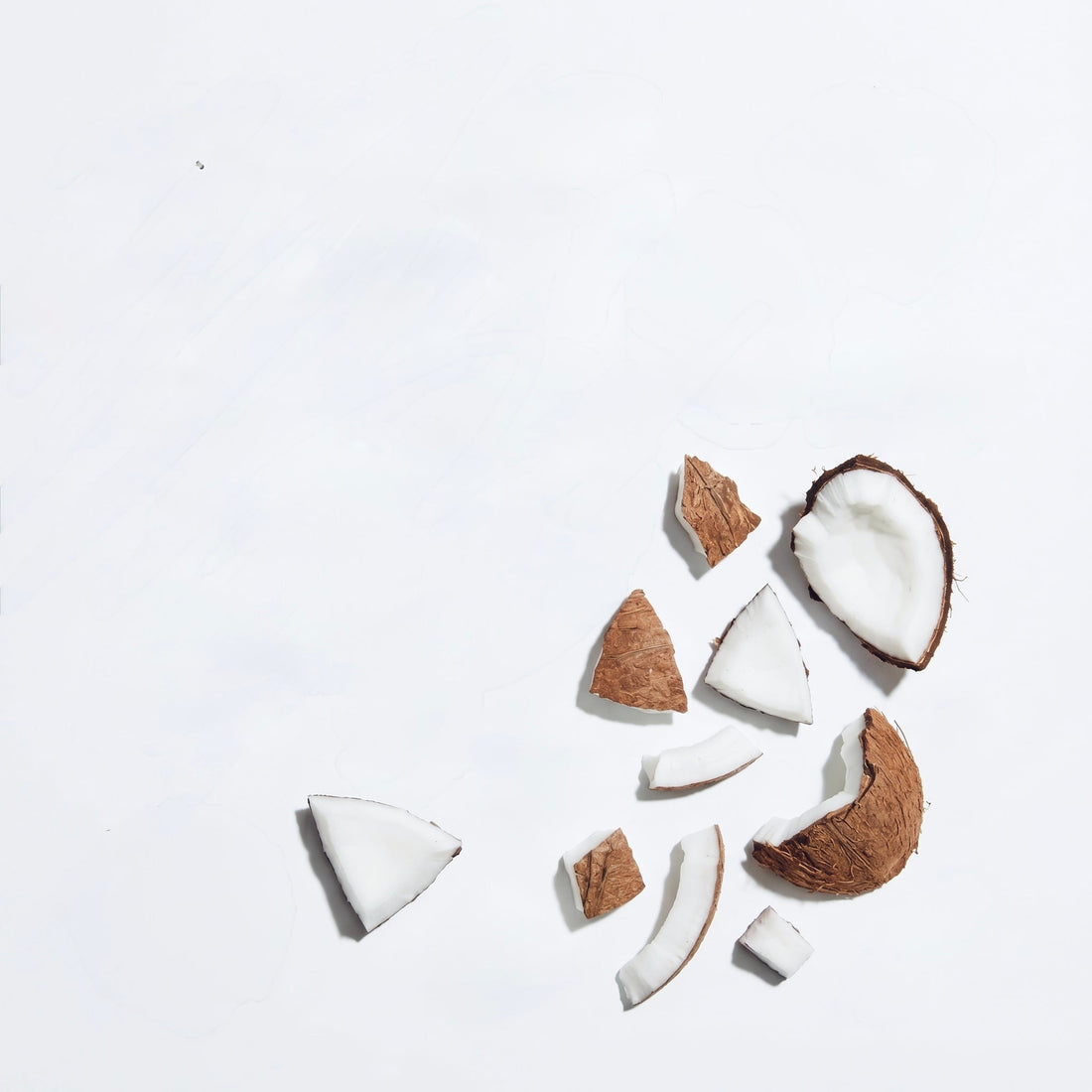 La Noix de Coco : Un Super-Aliment Aux Multiples Vertus